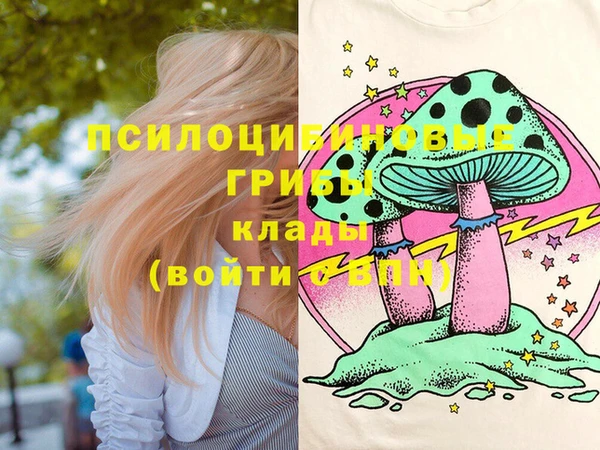 тгк Балахна