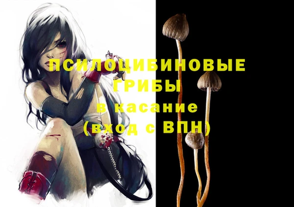бошки Усолье-Сибирское