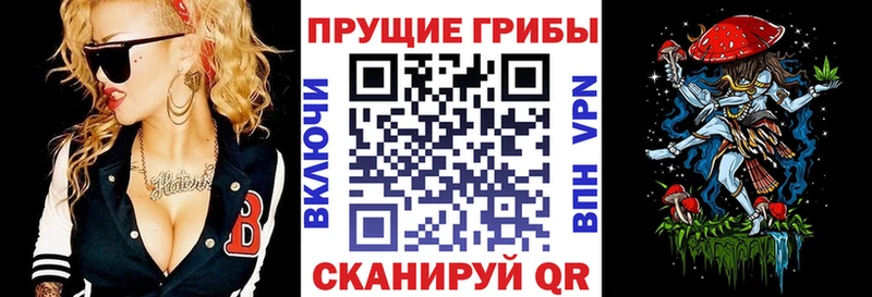 Галлюциногенные грибы Cubensis  shop как зайти  Новотроицк  hydra маркетплейс 