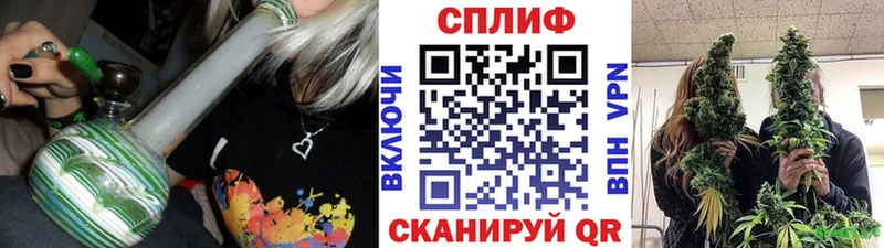 Бошки марихуана марихуана  Новотроицк 